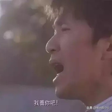 今日特码科普！喜剧之王在线国语免费观看完整版高清,百科词条爱好_2024最快更新