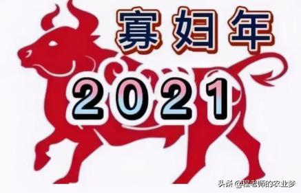 今日特码科普！明天就到立春了,百科词条爱好_2024最快更新